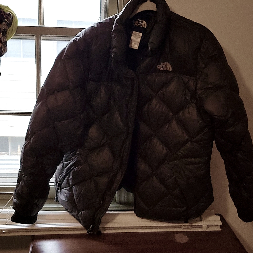 Northface Goosedown Insulation